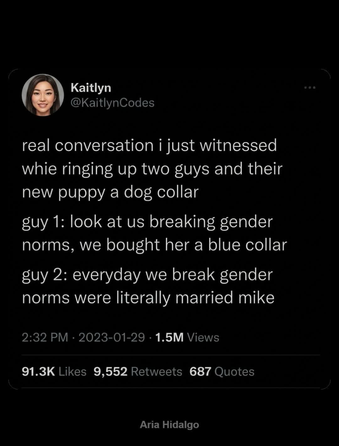 So this guy is trying to break gender norms by buying his puppy a blue collar, but his husband is like, they literally break gender norms everyday because they're married?