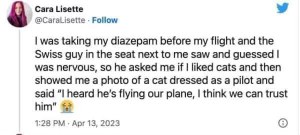 Me being nervous on a flight and a stranger shows me a cat pilot for reassurance