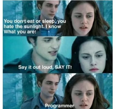 When you realize your entire personality is just 'programmer'