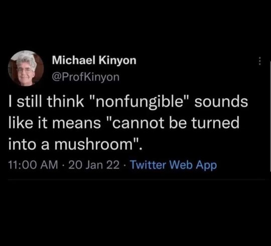 Wait, so nonfungible tokens aren't about not turning into mushrooms? My whole life is a lie.