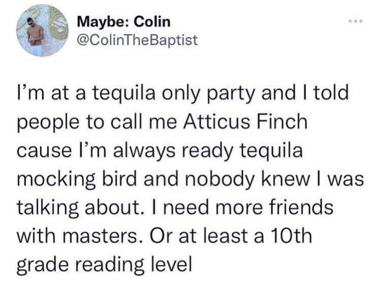 When you try to make a literary pun at a party and realize nobody gets it because they probably didn't read To Kill a Mockingbird