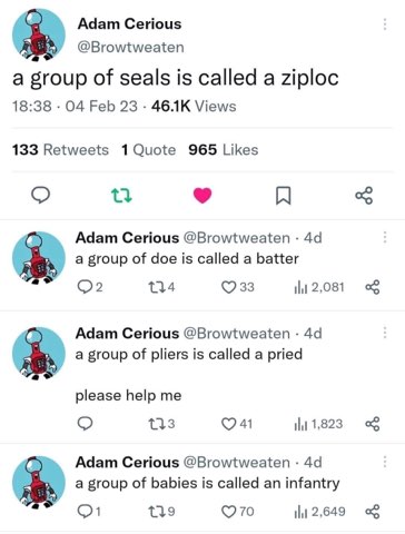 This person is drunk-inventing collective nouns and is definitely losing their mind.