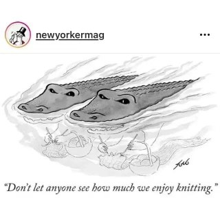 These alligators are trying to hide their knitting hobby from everyone lol