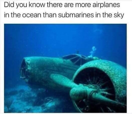 Okay, but like, technically they're not wrong