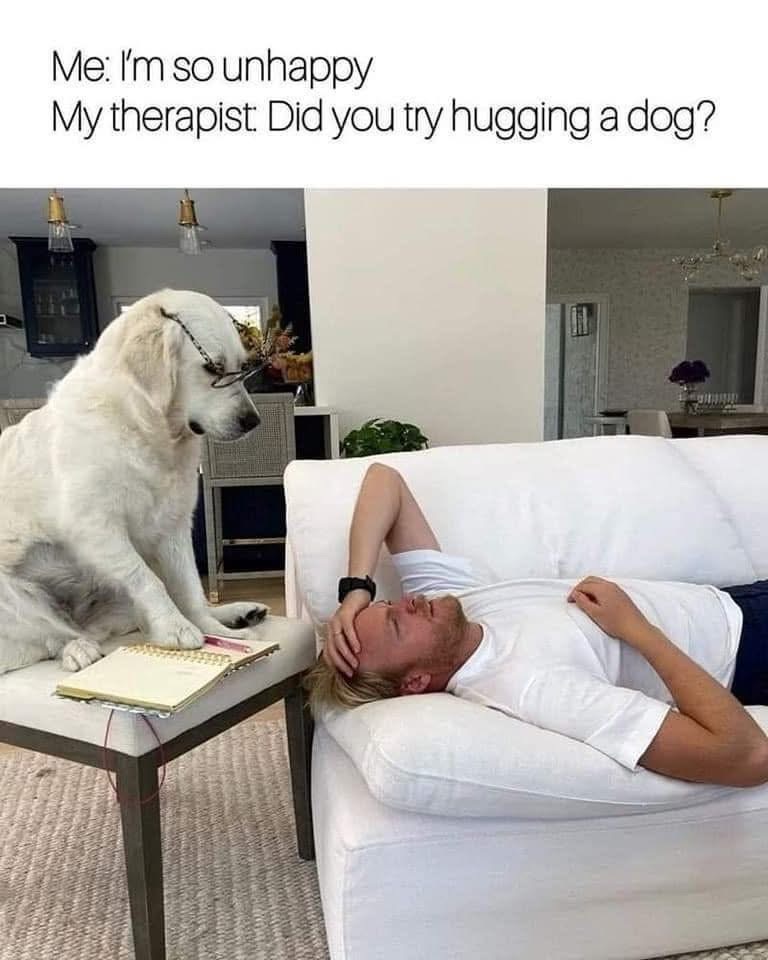 My therapist said I should try hugging a dog, but I'm pretty sure the dog is judging me.
