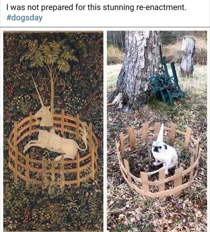 When you try to reenact a classic tapestry but end up with a pug in a tiny fence.