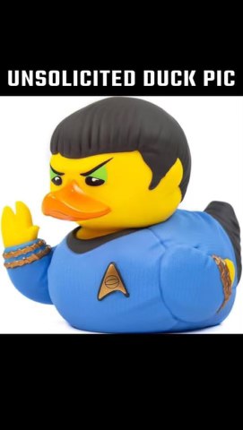 When you try to send a selfie but accidentally send your Spock rubber ducky.