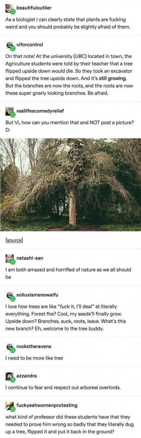 When you try to kill a tree by flipping it upside down but it just starts growing roots from the branches instead