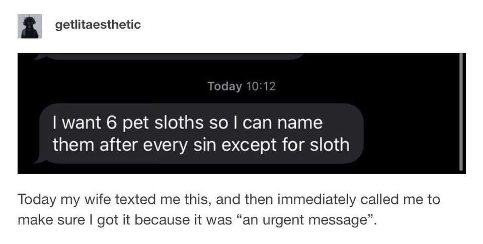 My wife wants 6 pet sloths named after all the sins except sloth... I guess she really wants me to be slothful.