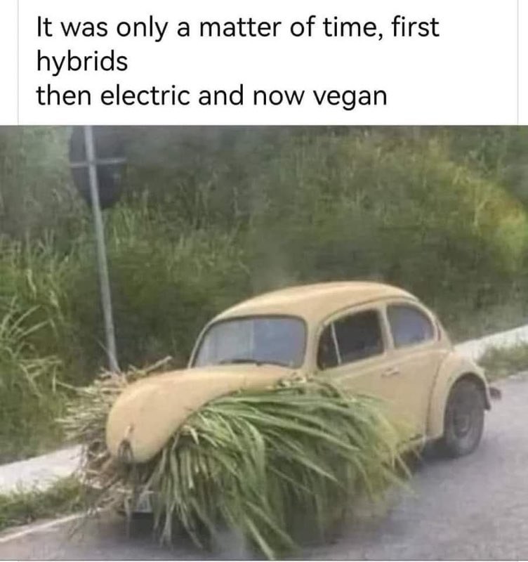 The vegan car has officially arrived everyone. RIP