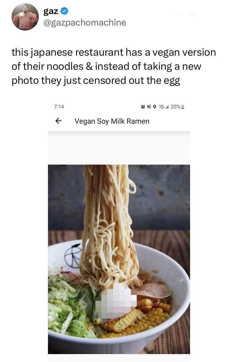 This restaurant tried to pass off vegan ramen but instead of taking a new pic, they just blurred out the egg... lol