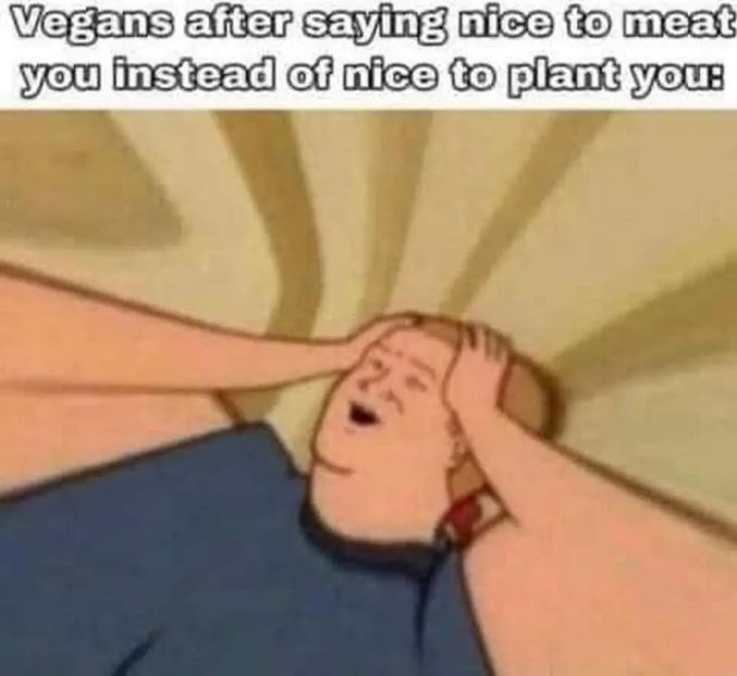 LMAO the existential dread of vegans realizing they accidentally complimented meat. "Nice to meat you" vs "Nice to plant you"