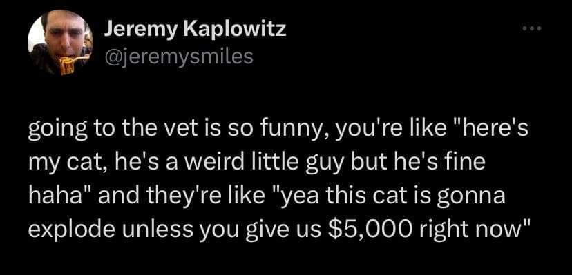 Vets gotta be kidding me with these expensive diagnoses for my cat