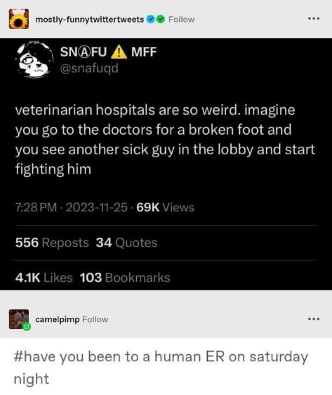 lol imagine going to the vet and having to fight someone because you're both sick