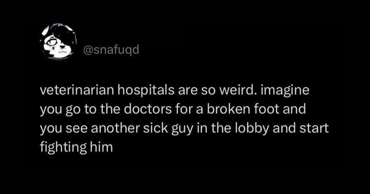 Wait, why would you fight another sick person at the vet if you're also sick?