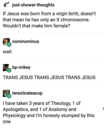 Wait, so does immaculate conception make Jesus the first trans person?