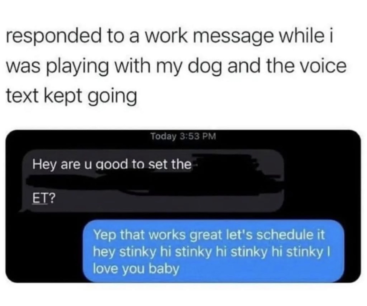 When voice-to-text decides your dog's name is more important than your work meeting