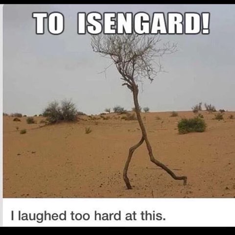 This tree looks like it's on a mission to Isengard