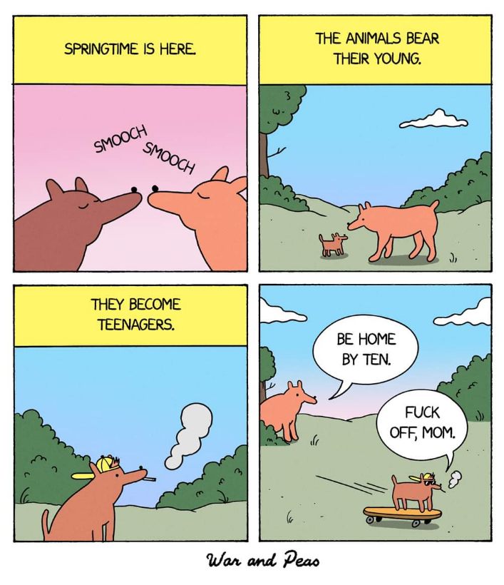 When the cute baby animals grow up and become angsty teenagers.