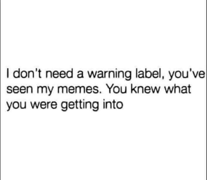 Me telling people they should've known better than to check my meme history