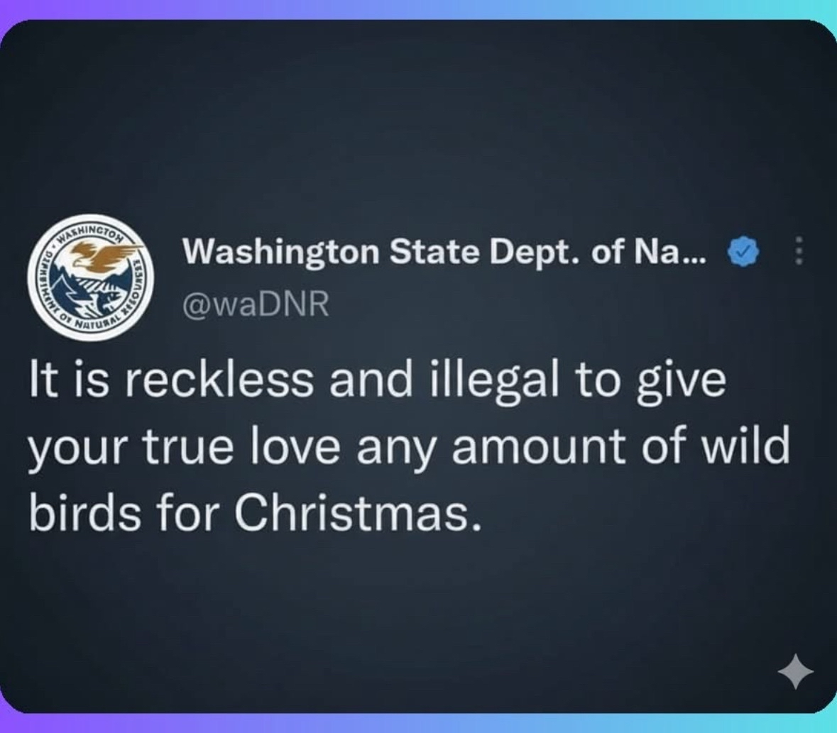 Apparently you can't give your SO wild birds for Christmas. Who knew?