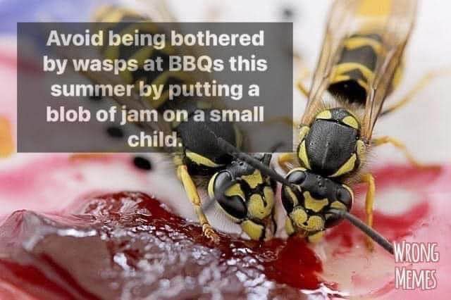 Idk if this is the best advice for dealing with wasps at a BBQ lol