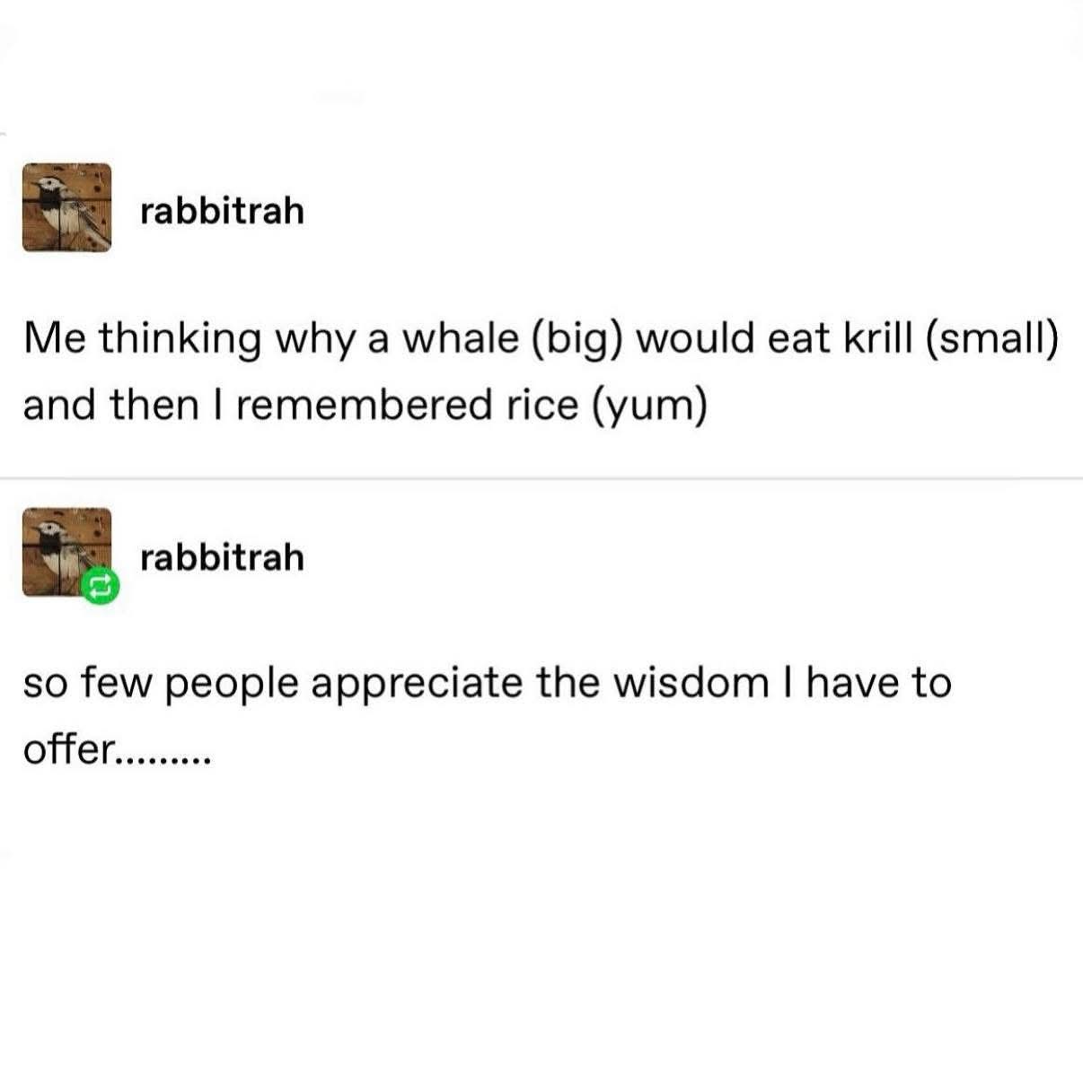 When you're trying to be smart but accidentally think whales eat rice
