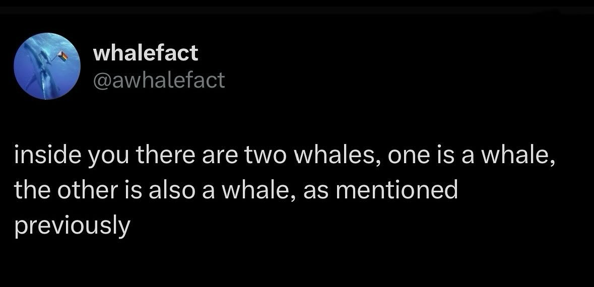 When you think you have two sides to your personality but they're both just whales.