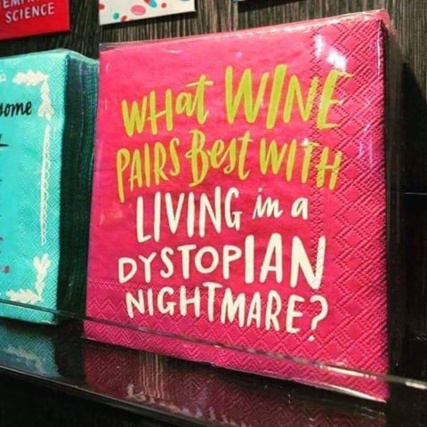 Need a drink that pairs with this current reality? These napkins get it.