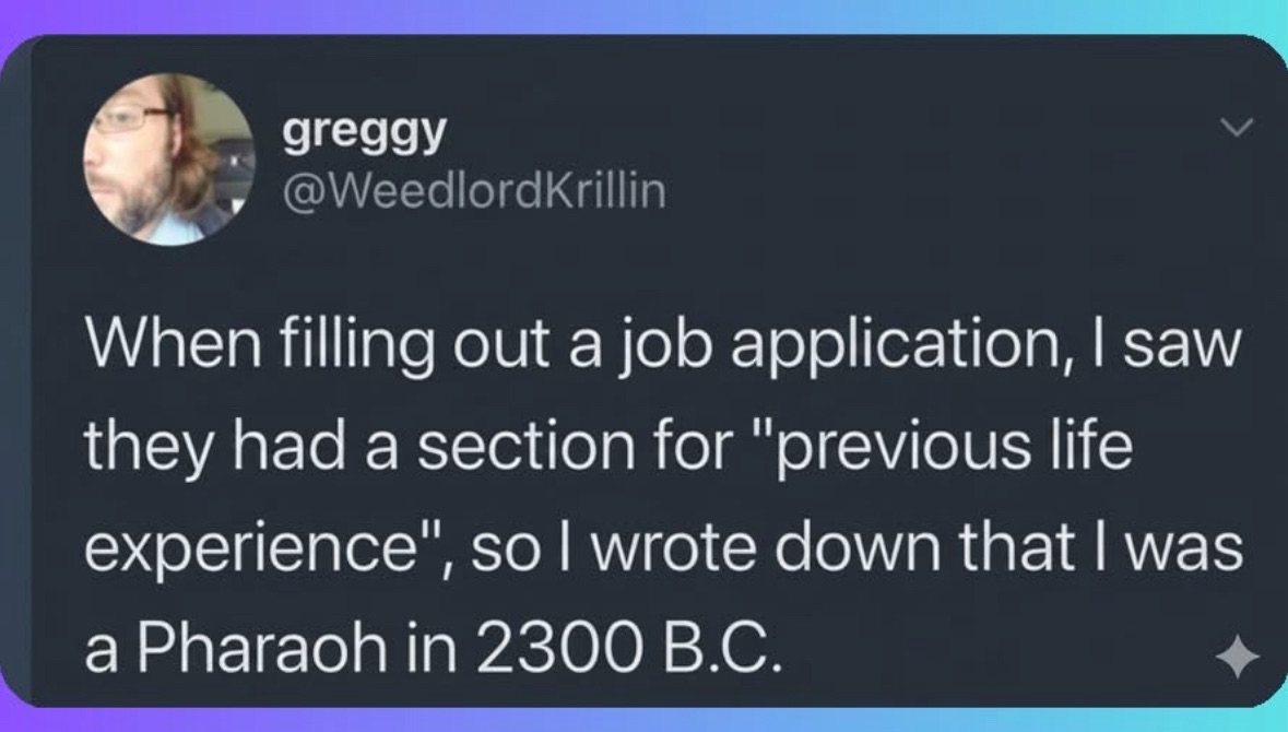 When they ask about 'previous life experience' on a job app and you're really leaning into it