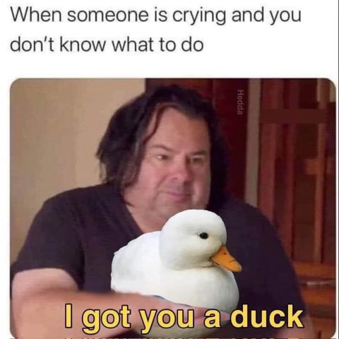 When you don't know how to comfort someone so you just get them a duck