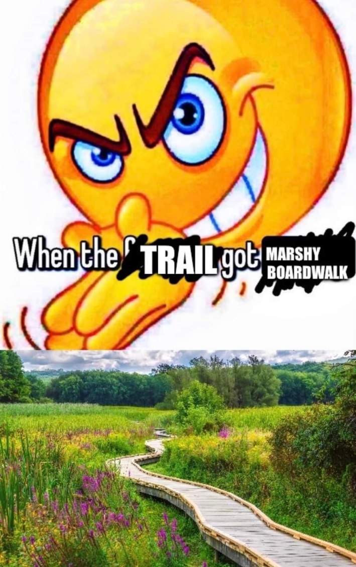 When the trail goes from paved to a sketchy boardwalk over a swamp