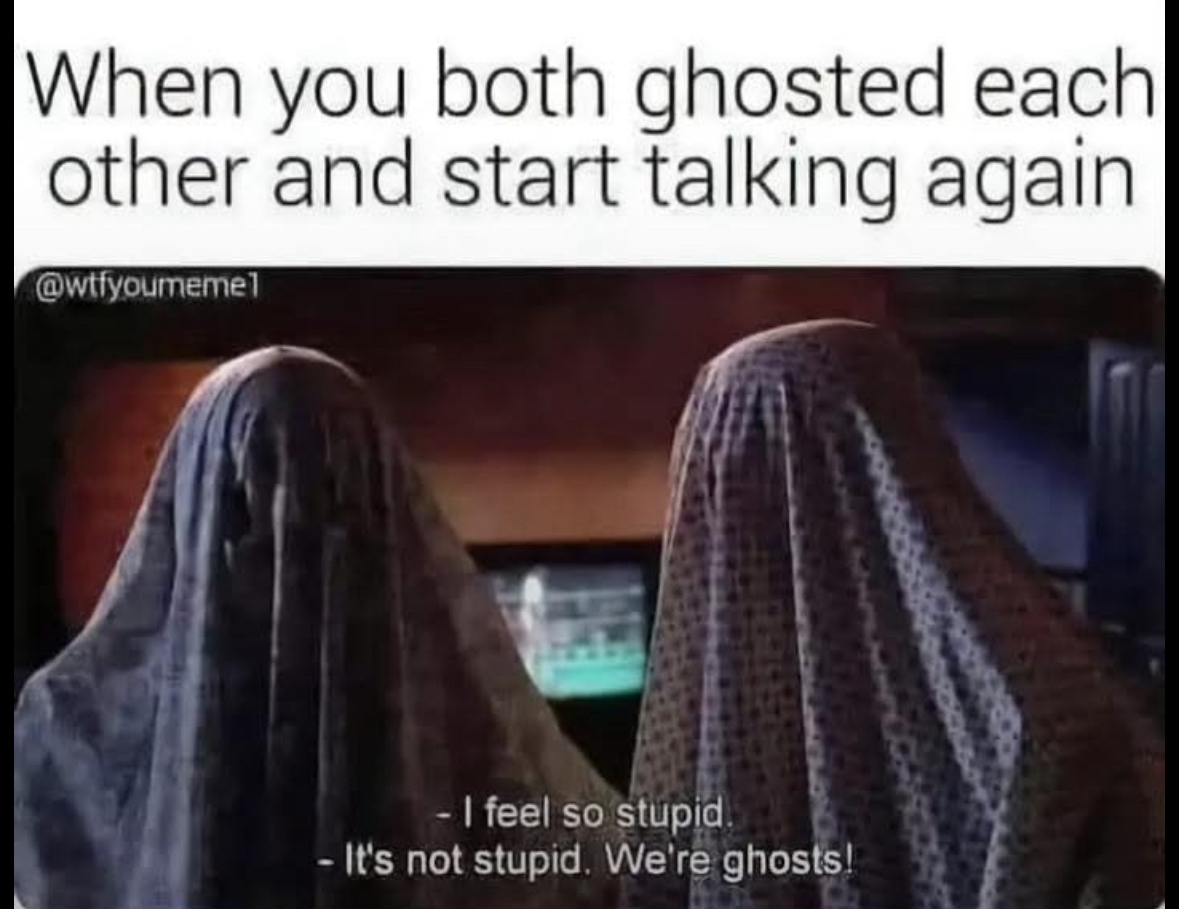 When you both ghosted each other and then start talking again, and one of you is like 'I feel so stupid' but the other reminds you 'We're ghosts!'