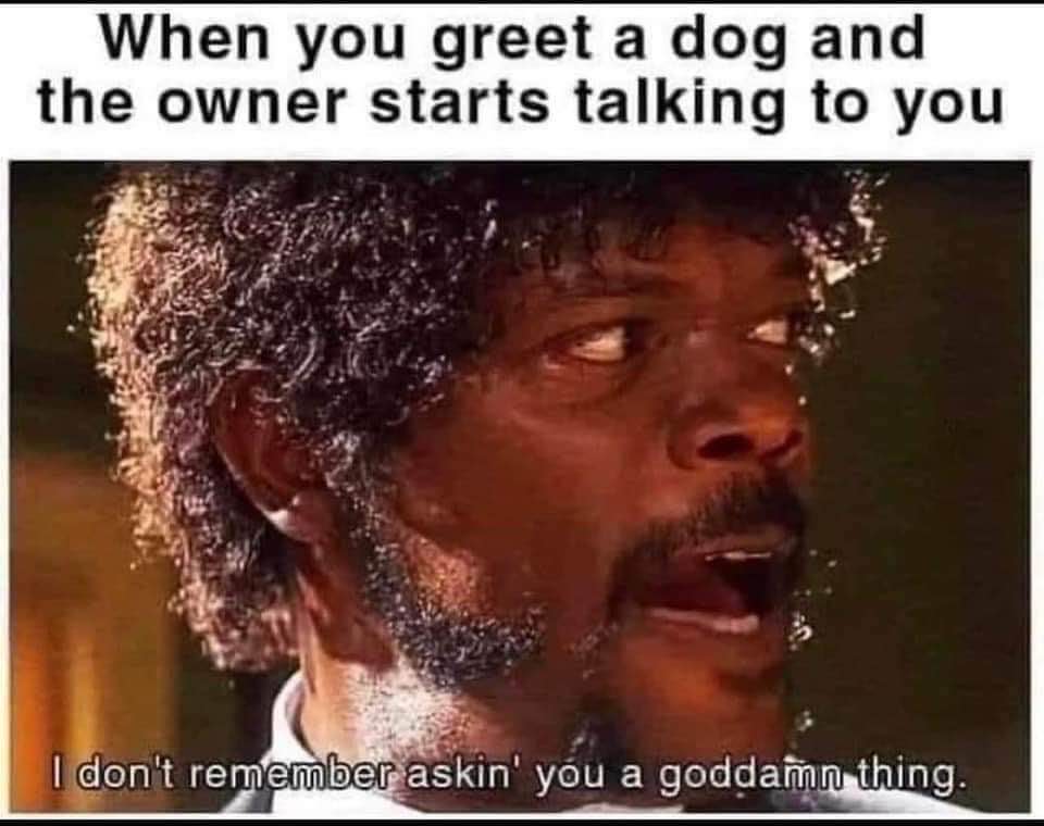 When you just wanted to pet the dog but the owner won't shut up.