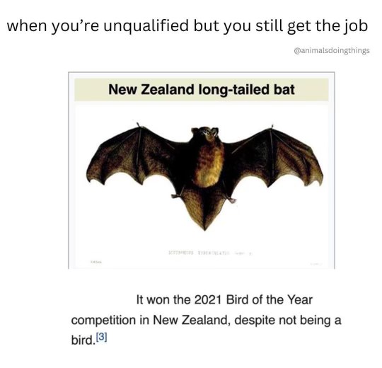 When you apply for a job you're totally not qualified for and somehow get it