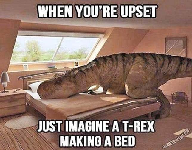 When you're upset, just imagine a T-Rex trying to make a bed. This is what I picture.