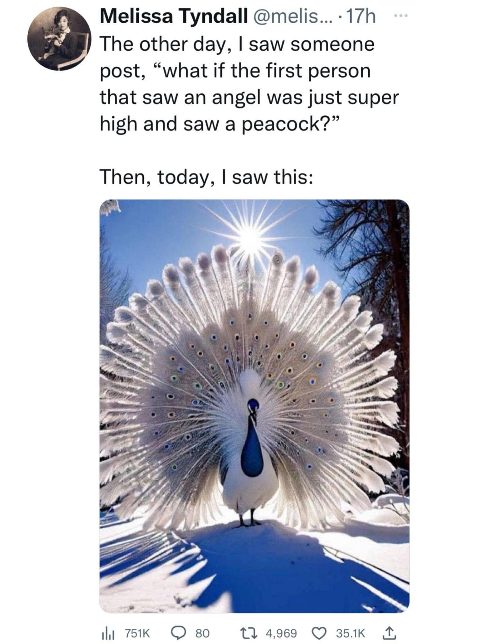 When you think you're seeing an angel but it's just a really pretty peacock in the snow