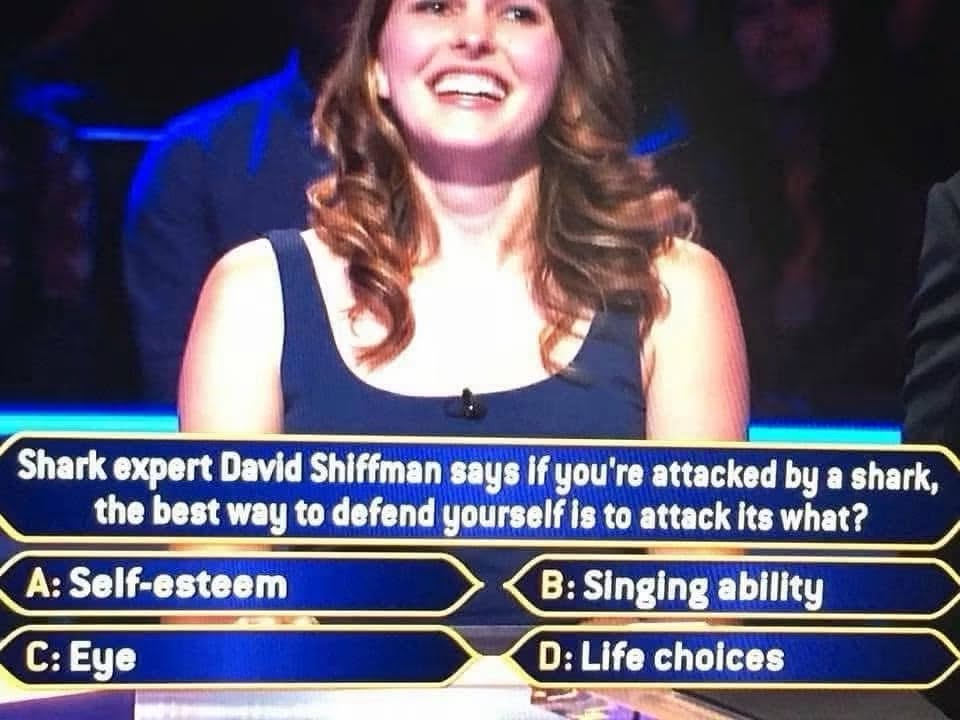 Apparently the way to survive a shark attack is to attack its singing ability lol