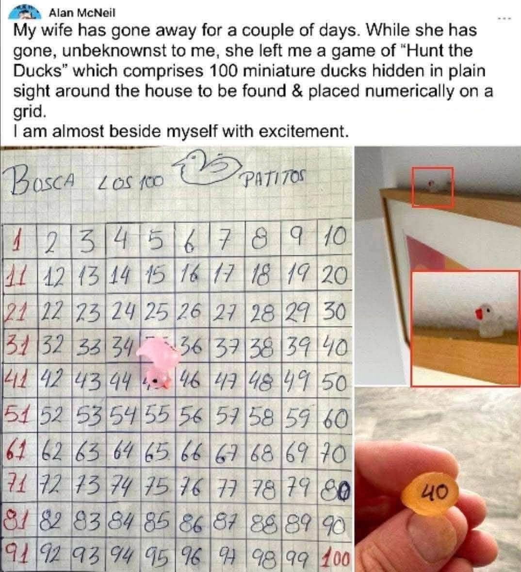 My wife left me a scavenger hunt for tiny ducks while she's gone and I'm already losing my mind lol