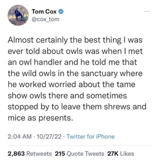 wild owls leaving gifts for the show owls like they're worried about them. iconic
