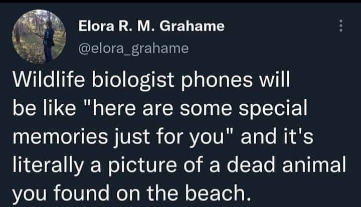 Wildlife biologist phones reminding them of that one time they found a dead animal on the beach lol