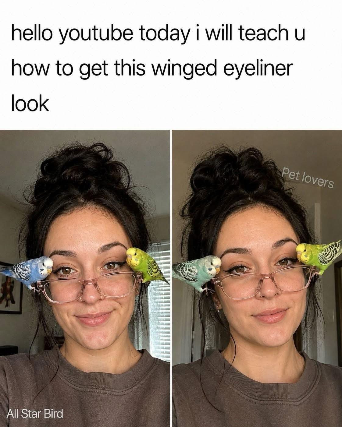 When you follow a YouTube tutorial for winged eyeliner and it turns out exactly like this