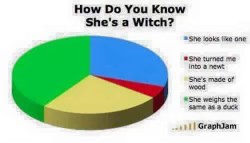 The classic Monty Python witch test, but make it a pie chart 😂