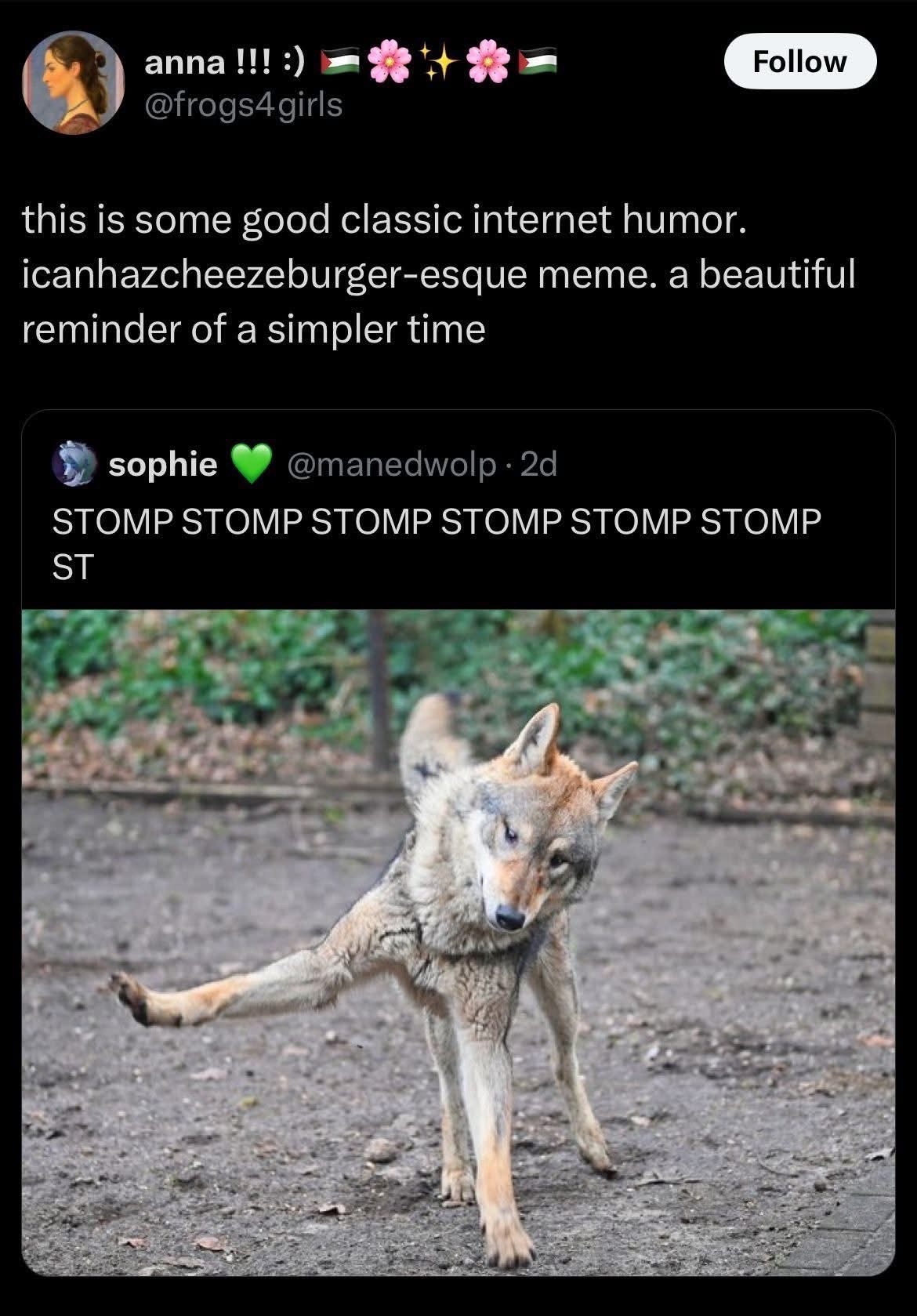 This wolf is practicing its dance moves for the big rave later