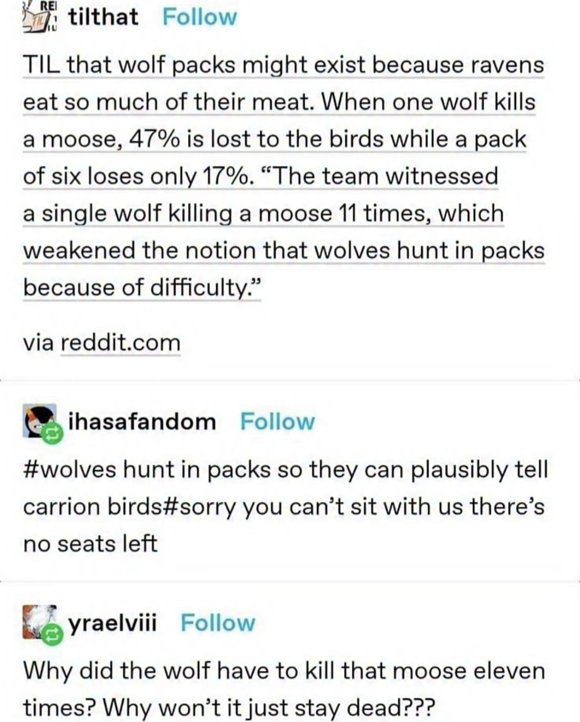 When the wolf pack is just trying to eat but the birds are rude