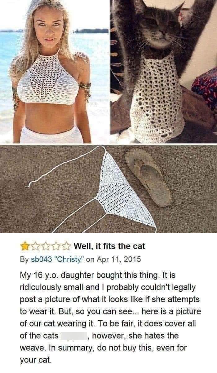 When your daughter buys a bikini that only fits the cat