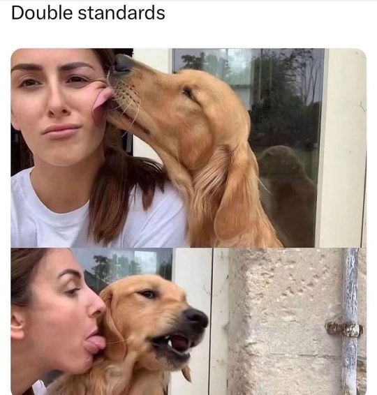 Me showing affection vs. when someone shows affection to me