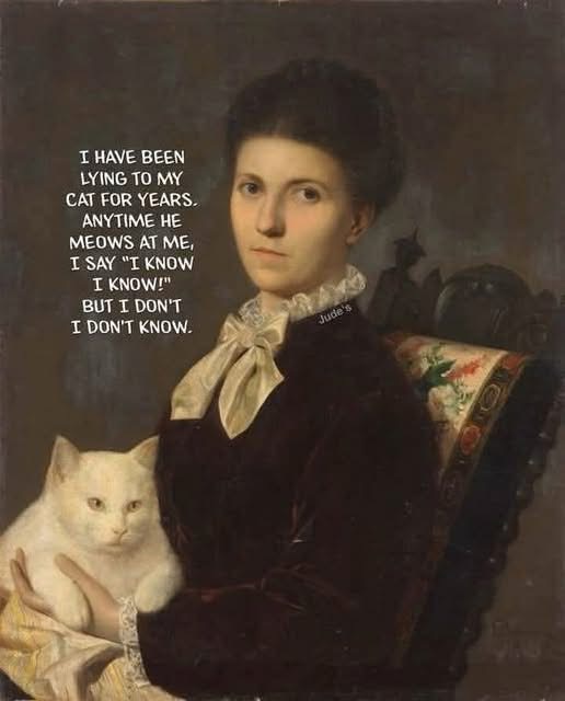 Me pretending to know what my cat wants when he meows at me.