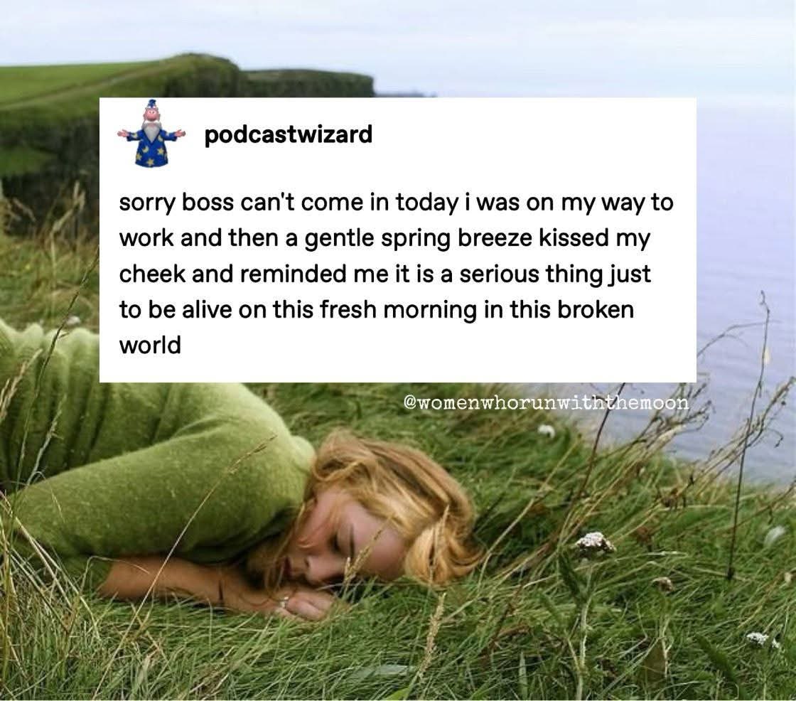 My boss is gonna get this when I call in sick to enjoy the nature