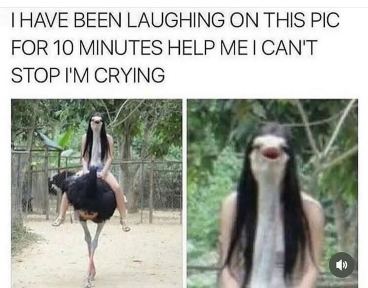 This person really looks like they're living their best life on an ostrich... or maybe it's being possessed.